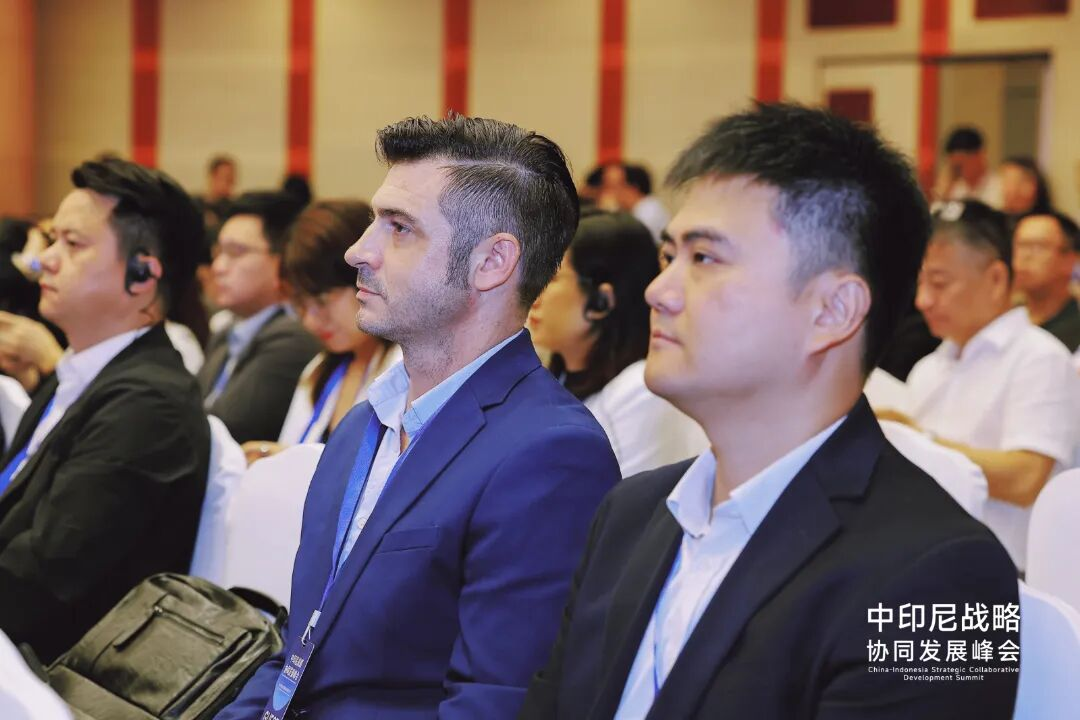 图片8