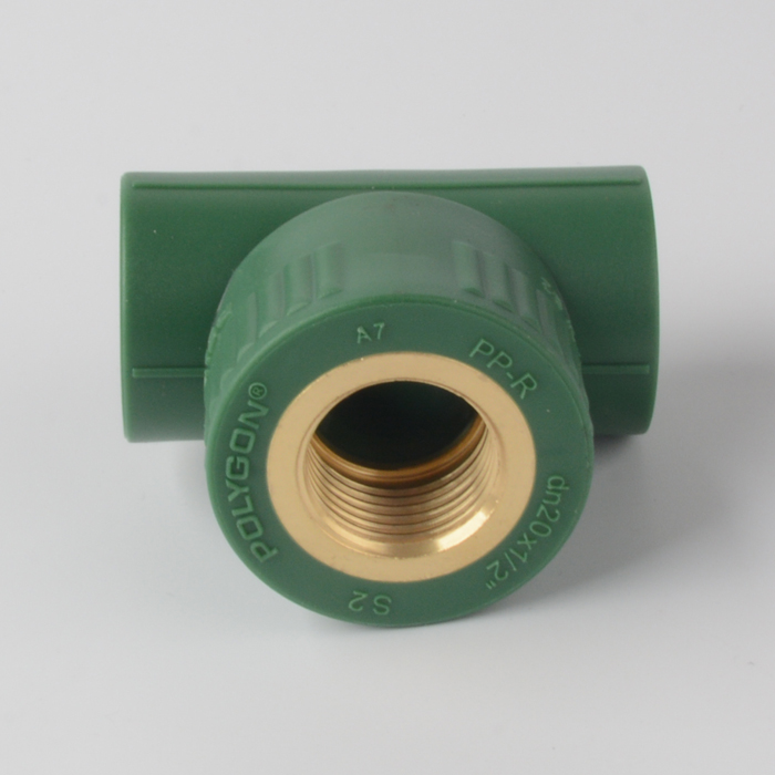 Polygon PPR Weibliche Gewinde -T -Shirt