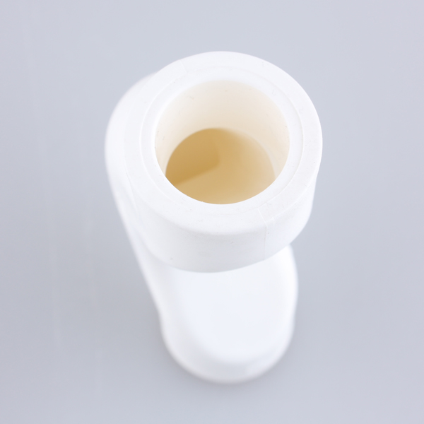 Polygon PPR über Bridge Bug (kurz)